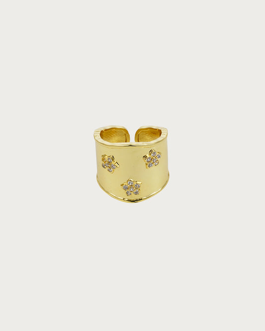 Antonia Sparkle Ring(2 Colors)