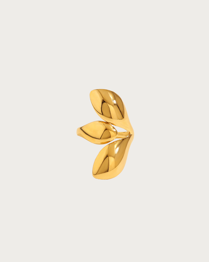 Agnes Geometric Glossy Golden Ring - D
