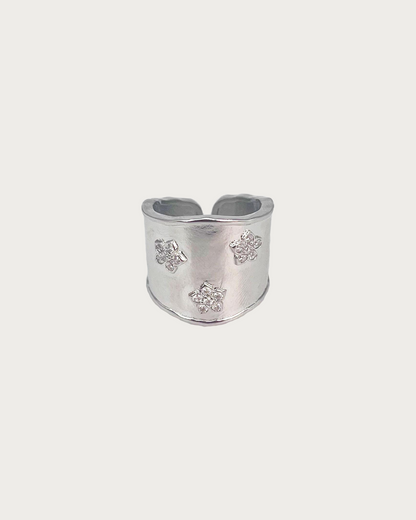 Anillo de plata brillante